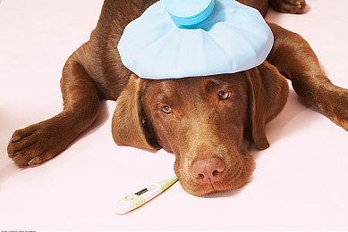 玩家抵制《深海迷航2》 工作室新CEO对此表示遗憾